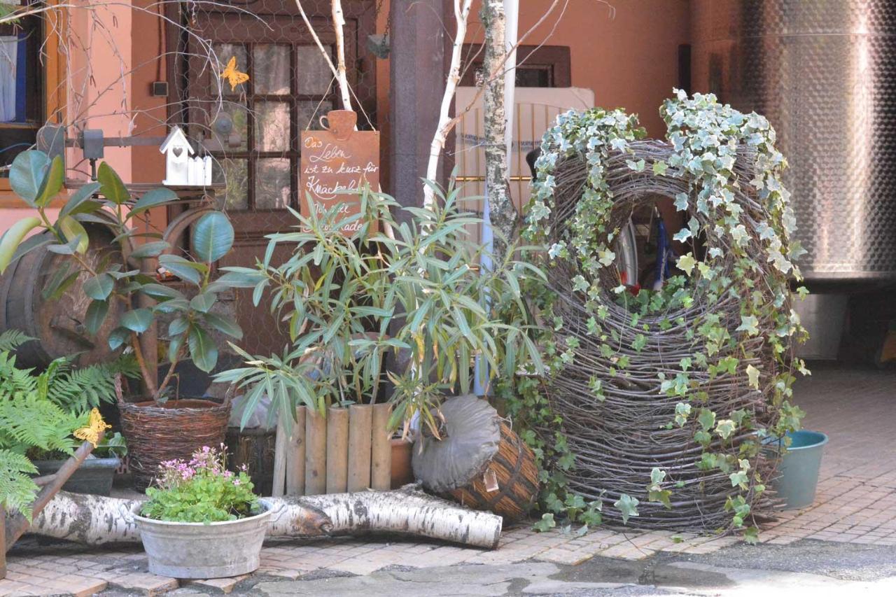 Chez Myriam Bed And Breakfast Studio Parme Colmar Exterior foto